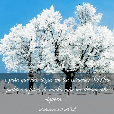 Picture 03 - Deuteronômio 8:17 BSL - e para que não digas em teu coração: “Meu - Bible Verse Picture