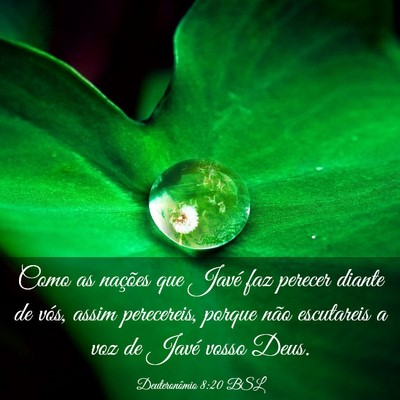Picture 03 - Deuteronômio 8:20 BSL - Como as nações que Javé faz perecer diante de - Bible Verse Picture