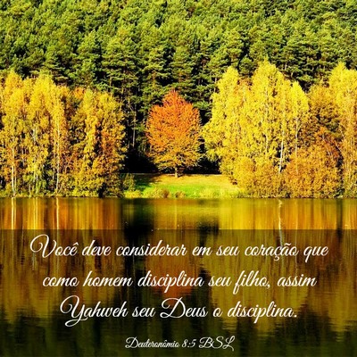 Picture 03 - Deuteronômio 8:5 BSL - Você deve considerar em seu coração que como - Bible Verse Picture
