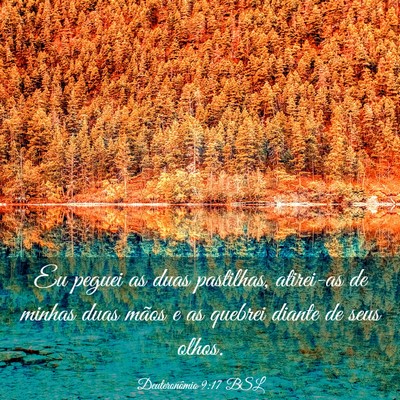 Picture 03 - Deuteronômio 9:17 BSL - Eu peguei as duas pastilhas, atirei-as de minhas - Bible Verse Picture