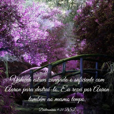 Picture 03 - Deuteronômio 9:20 BSL - Yahweh estava zangado o suficiente com Aaron para - Bible Verse Picture
