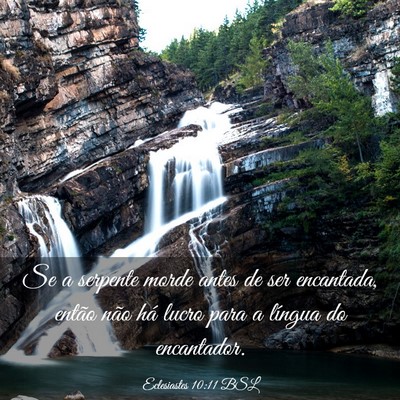 Picture 03 - Eclesiastes 10:11 BSL - Se a serpente morde antes de ser encantada, - Bible Verse Picture