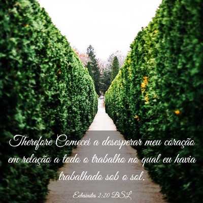 Picture 03 - Eclesiastes 2:20 BSL - Therefore Comecei a desesperar meu coração em - Bible Verse Picture
