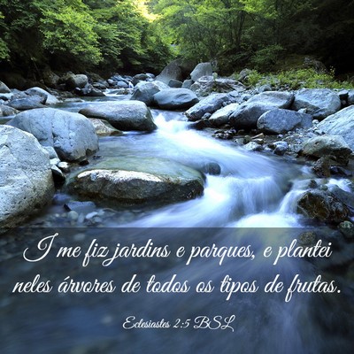 Picture 03 - Eclesiastes 2:5 BSL - I me fiz jardins e parques, e plantei neles - Bible Verse Picture