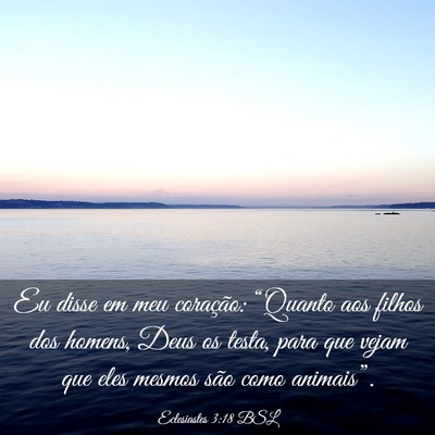 Picture 03 - Eclesiastes 3:18 BSL - Eu disse em meu coração: “Quanto aos filhos - Bible Verse Picture