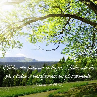 Picture 03 - Eclesiastes 3:20 BSL - Todos vão para um só lugar. Todos são do pó, - Bible Verse Picture