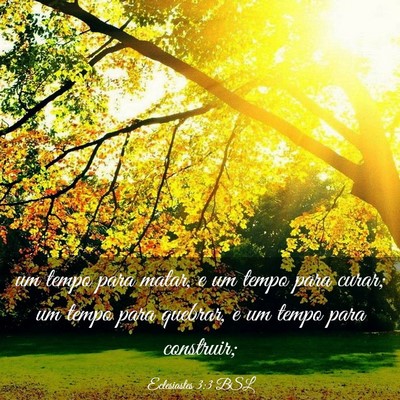 Picture 03 - Eclesiastes 3:3 BSL - um tempo para matar, e um tempo para curar; um - Bible Verse Picture