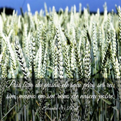 Picture 03 - Eclesiastes 4:14 BSL - Pois fora da prisão ele saiu para ser rei; sim, - Bible Verse Picture