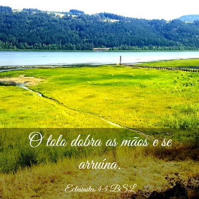 Picture 03 - Eclesiastes 4:5 BSL - O tolo dobra as mãos e se - Bible Verse Picture