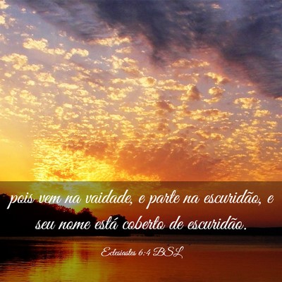 Picture 03 - Eclesiastes 6:4 BSL - pois vem na vaidade, e parte na escuridão, e seu - Bible Verse Picture