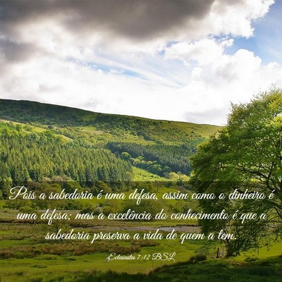 Picture 03 - Eclesiastes 7:12 BSL - Pois a sabedoria é uma defesa, assim como o - Bible Verse Picture