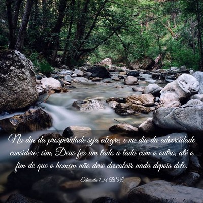 Picture 03 - Eclesiastes 7:14 BSL - No dia da prosperidade seja alegre, e no dia da - Bible Verse Picture