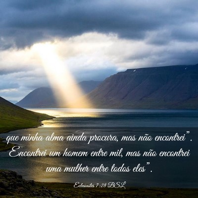 Picture 03 - Eclesiastes 7:28 BSL - que minha alma ainda procura, mas não - Bible Verse Picture