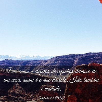 Picture 03 - Eclesiastes 7:6 BSL - Pois como o crepitar de espinhos debaixo de um - Bible Verse Picture