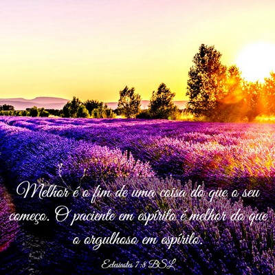 Picture 03 - Eclesiastes 7:8 BSL - Melhor é o fim de uma coisa do que o seu - Bible Verse Picture
