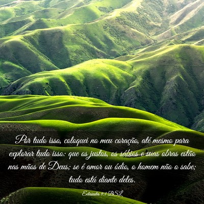 Picture 03 - Eclesiastes 9:1 BSL - Por tudo isso, coloquei no meu coração, até - Bible Verse Picture