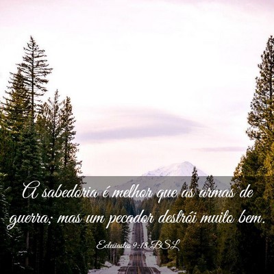 Picture 03 - Eclesiastes 9:18 BSL - A sabedoria é melhor que as armas de guerra; mas - Bible Verse Picture
