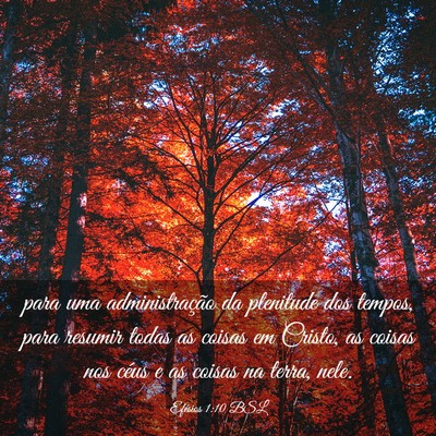 Picture 03 - Efésios 1:10 BSL - para uma administração da plenitude dos tempos, - Bible Verse Picture