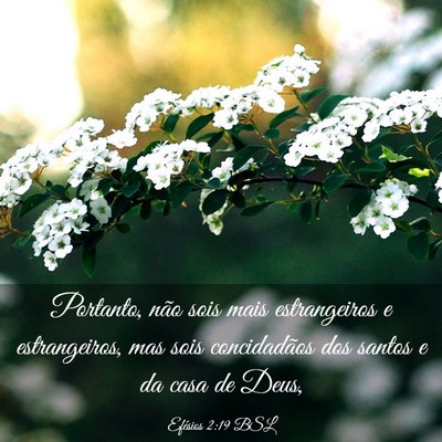 Picture 03 - Efésios 2:19 BSL - Portanto, não sois mais estrangeiros e - Bible Verse Picture