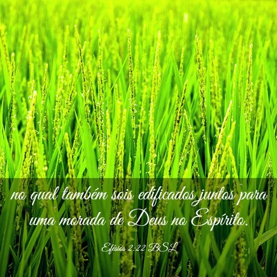 Picture 03 - Efésios 2:22 BSL - no qual também sois edificados juntos para uma - Bible Verse Picture