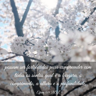 Picture 03 - Efésios 3:18 BSL - possam ser fortalecidos para compreender com - Bible Verse Picture