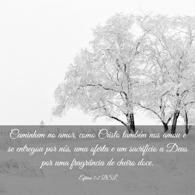 Picture 03 - Efésios 5:2 BSL - Caminhem no amor, como Cristo também nos amou e - Bible Verse Picture