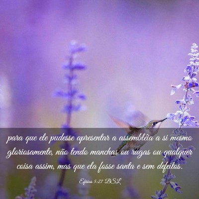 Picture 03 - Efésios 5:27 BSL - para que ele pudesse apresentar a assembléia a - Bible Verse Picture