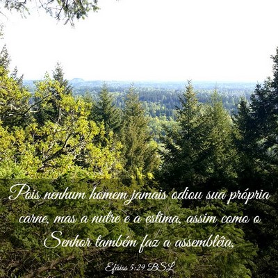 Picture 03 - Efésios 5:29 BSL - Pois nenhum homem jamais odiou sua própria - Bible Verse Picture