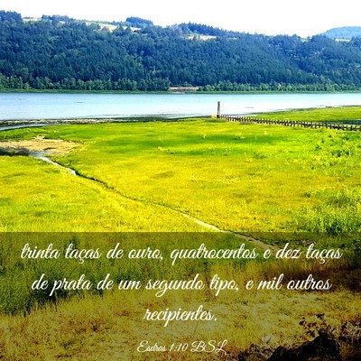 Picture 03 - Esdras 1:10 BSL - trinta taças de ouro, quatrocentos e dez taças - Bible Verse Picture