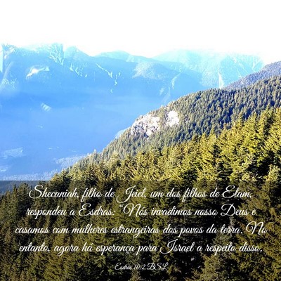 Picture 03 - Esdras 10:2 BSL - Shecaniah, filho de Jeiel, um dos filhos de Elam, - Bible Verse Picture