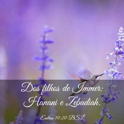 Picture 03 - Esdras 10:20 BSL - Dos filhos de Immer: Hanani e - Bible Verse Picture
