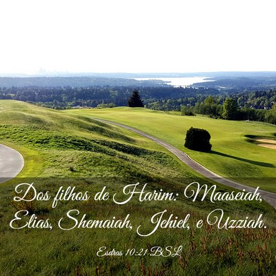 Picture 03 - Esdras 10:21 BSL - Dos filhos de Harim: Maaseiah, Elias, Shemaiah, - Bible Verse Picture