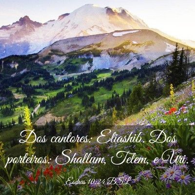 Picture 03 - Esdras 10:24 BSL - Dos cantores: Eliashib. Dos porteiros: Shallum, - Bible Verse Picture