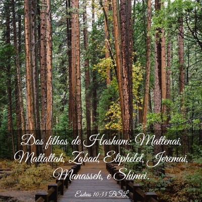 Picture 03 - Esdras 10:33 BSL - Dos filhos de Hashum: Mattenai, Mattattah, Zabad, - Bible Verse Picture