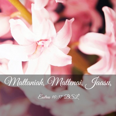Picture 03 - Esdras 10:37 BSL - Mattaniah, Mattenai, - Bible Verse Picture