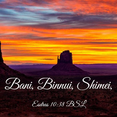 Picture 03 - Esdras 10:38 BSL - Bani, Binnui, - Bible Verse Picture