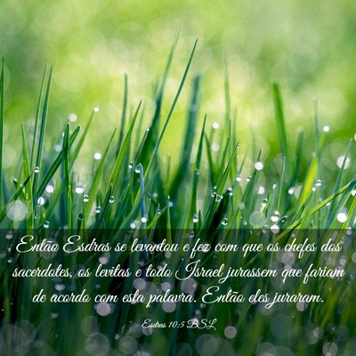 Picture 03 - Esdras 10:5 BSL - Então Esdras se levantou e fez com que os chefes - Bible Verse Picture