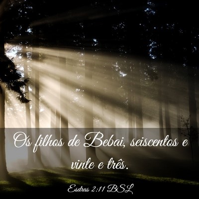 Picture 03 - Esdras 2:11 BSL - Os filhos de Bebai, seiscentos e vinte e - Bible Verse Picture