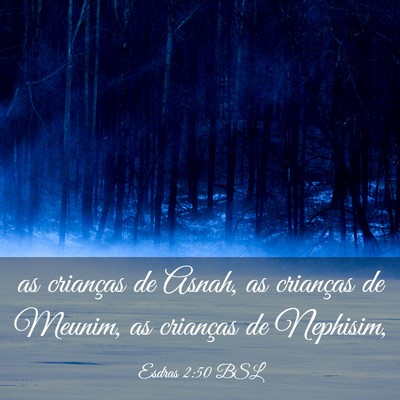 Picture 03 - Esdras 2:50 BSL - as crianças de Asnah, as crianças de Meunim, as - Bible Verse Picture