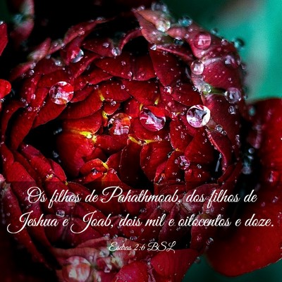 Picture 03 - Esdras 2:6 BSL - Os filhos de Pahathmoab, dos filhos de Jeshua e - Bible Verse Picture