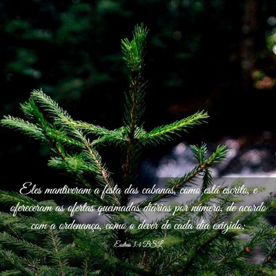 Picture 03 - Esdras 3:4 BSL - Eles mantiveram a festa das cabanas, como está - Bible Verse Picture