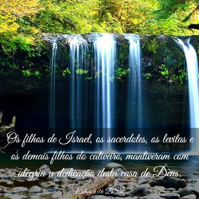 Picture 03 - Esdras 6:16 BSL - Os filhos de Israel, os sacerdotes, os levitas e - Bible Verse Picture
