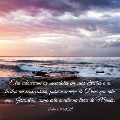 Picture 03 - Esdras 6:18 BSL - Eles colocaram os sacerdotes em suas divisões e - Bible Verse Picture