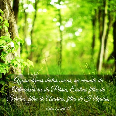Picture 03 - Esdras 7:1 BSL - Agora depois destas coisas, no reinado de - Bible Verse Picture
