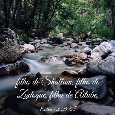 Picture 03 - Esdras 7:2 BSL - filho de Shallum, filho de Zadoque, filho de - Bible Verse Picture