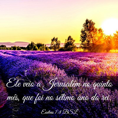 Picture 03 - Esdras 7:8 BSL - Ele veio a Jerusalém no quinto mês, que foi no - Bible Verse Picture