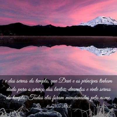 Picture 03 - Esdras 8:20 BSL - e dos servos do templo, que Davi e os príncipes - Bible Verse Picture