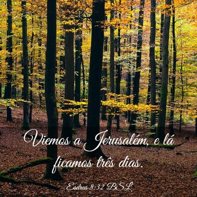 Picture 03 - Esdras 8:32 BSL - Viemos a Jerusalém, e lá ficamos três - Bible Verse Picture