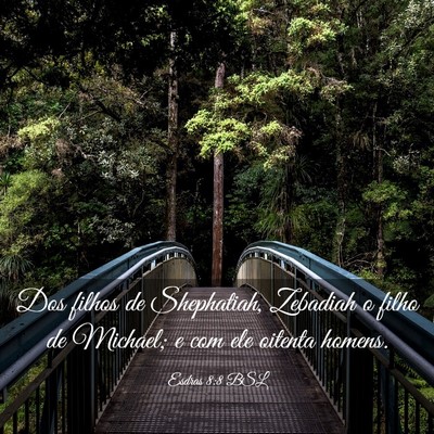 Picture 03 - Esdras 8:8 BSL - Dos filhos de Shephatiah, Zebadiah o filho de - Bible Verse Picture