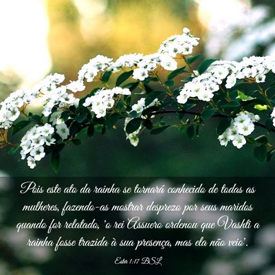 Picture 03 - Ester 1:17 BSL - Pois este ato da rainha se tornará conhecido de - Bible Verse Picture